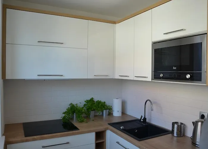 Na Starówce Grobla I Apartamento Gdańsk